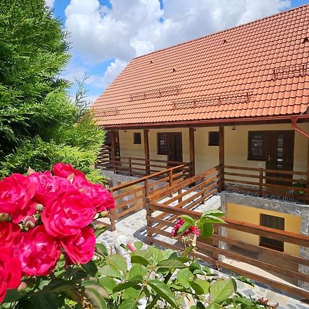 Matei Residence Брашов Экстерьер фото