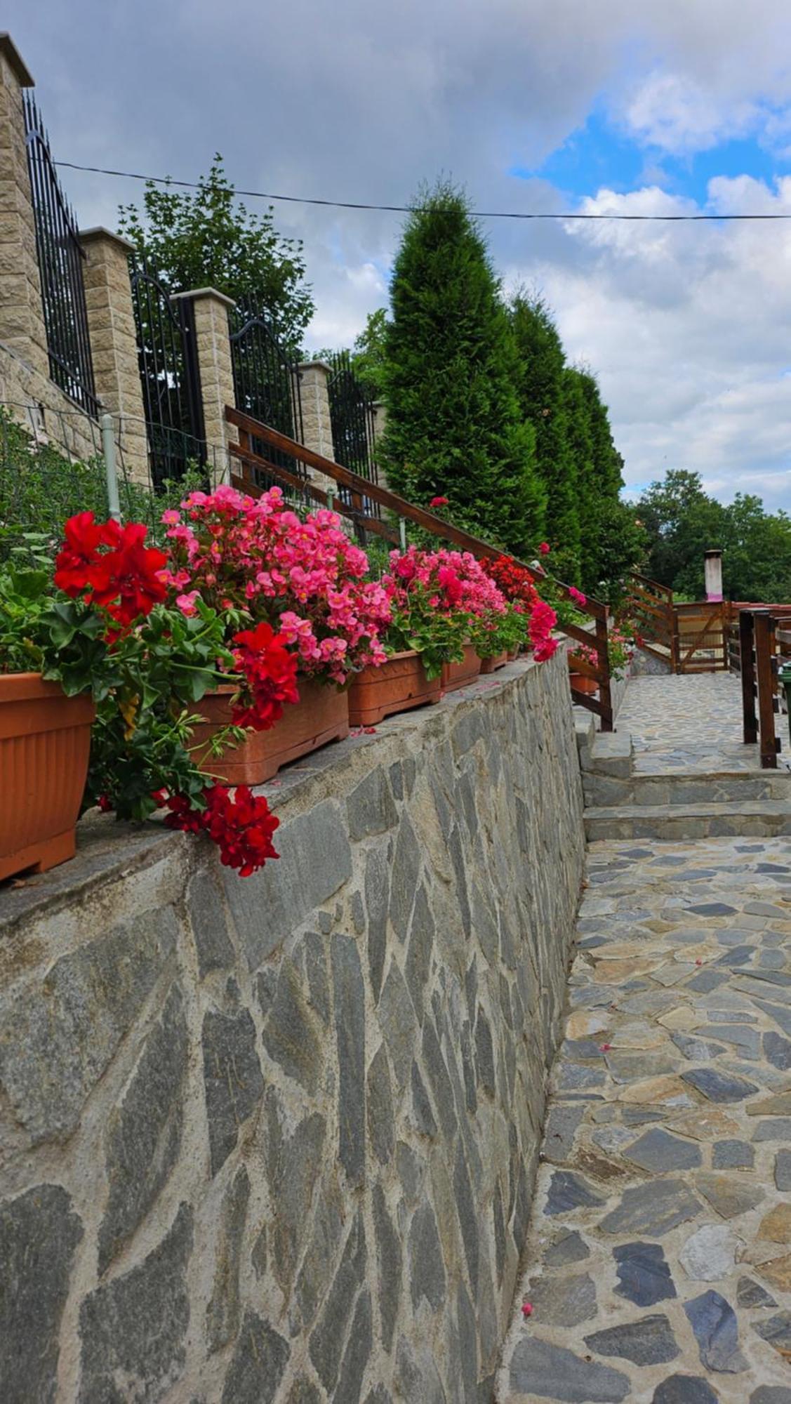 Matei Residence Брашов Экстерьер фото